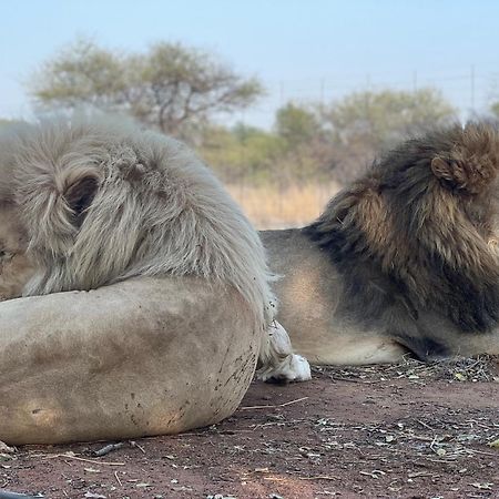 Simba Safaris African Pride Exotic Lodge Lephalale Zewnętrze zdjęcie