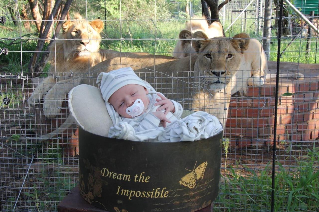 Simba Safaris African Pride Exotic Lodge Lephalale Zewnętrze zdjęcie