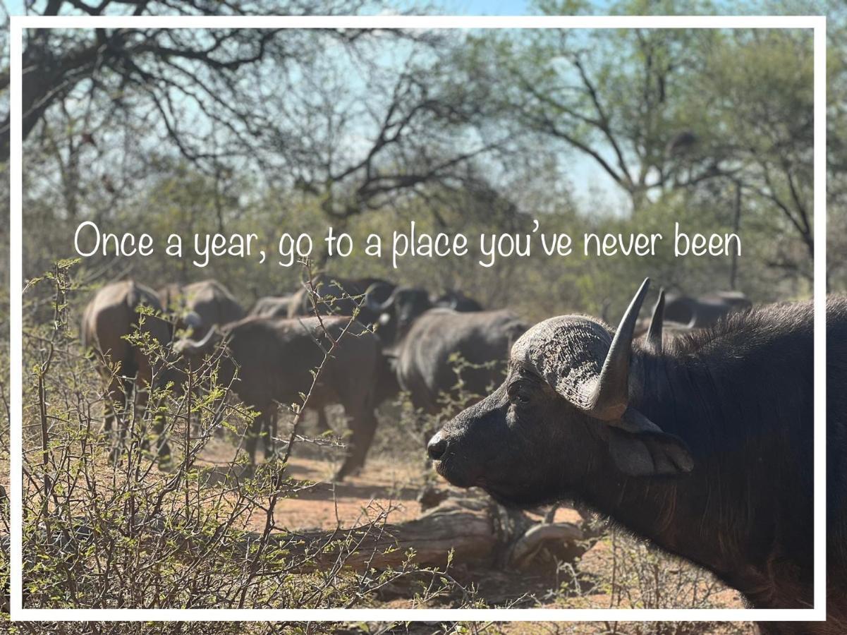 Simba Safaris African Pride Exotic Lodge Lephalale Zewnętrze zdjęcie