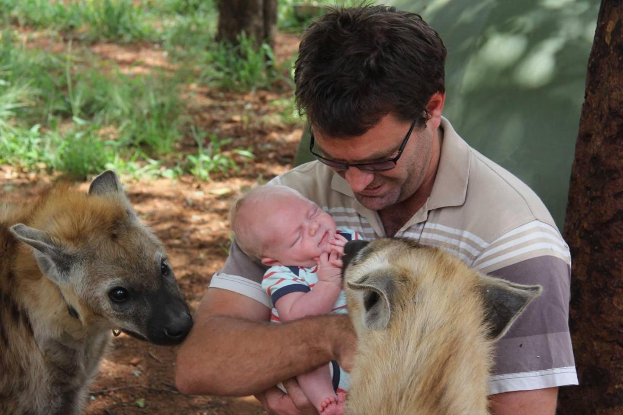 Simba Safaris African Pride Exotic Lodge Lephalale Zewnętrze zdjęcie