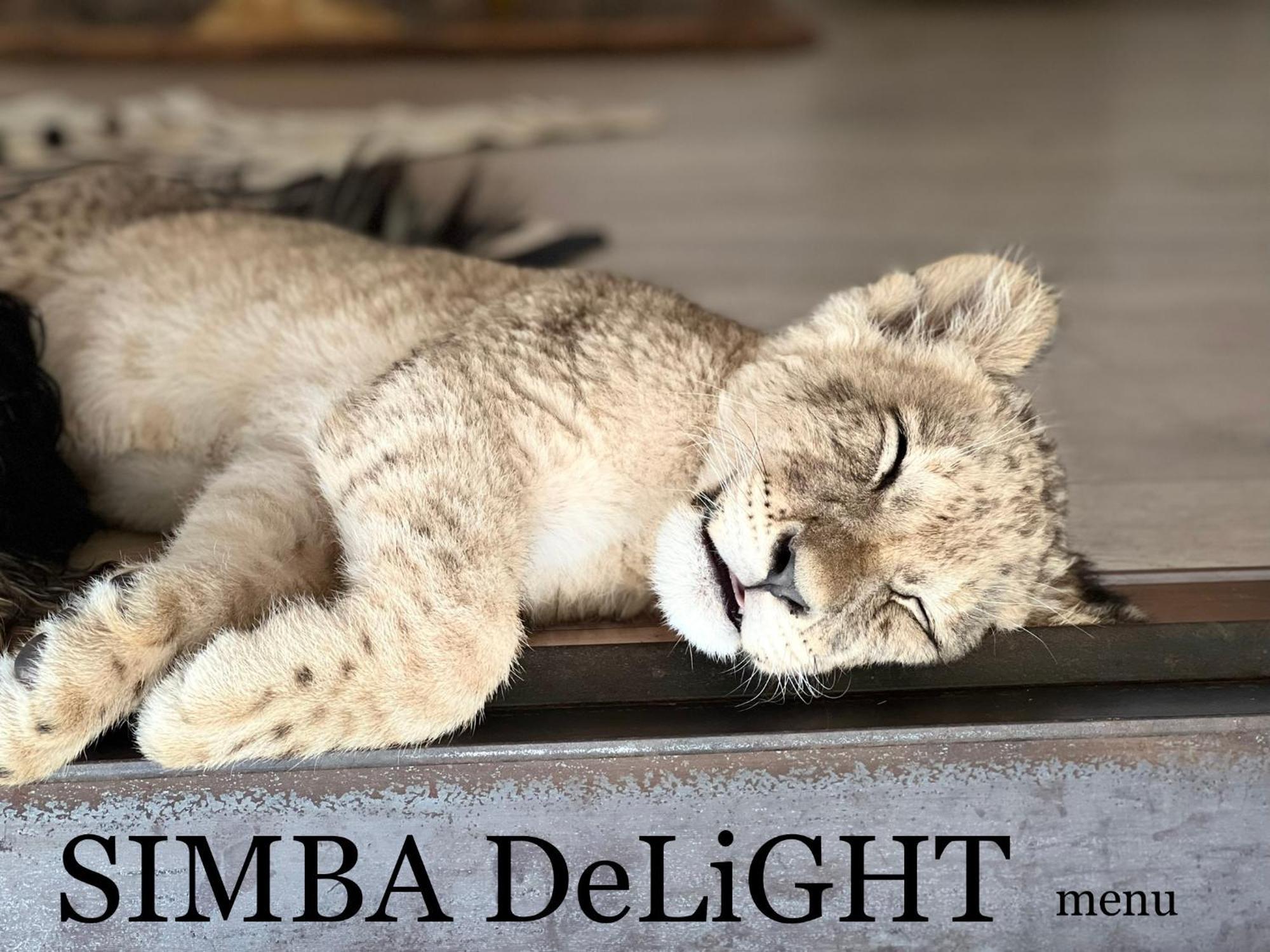 Simba Safaris African Pride Exotic Lodge Lephalale Zewnętrze zdjęcie