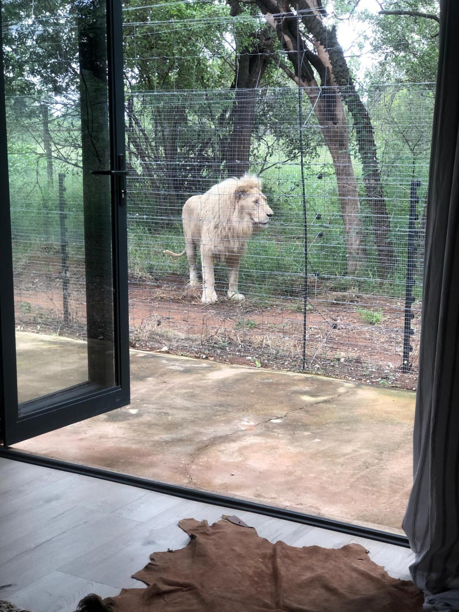 Simba Safaris African Pride Exotic Lodge Lephalale Zewnętrze zdjęcie
