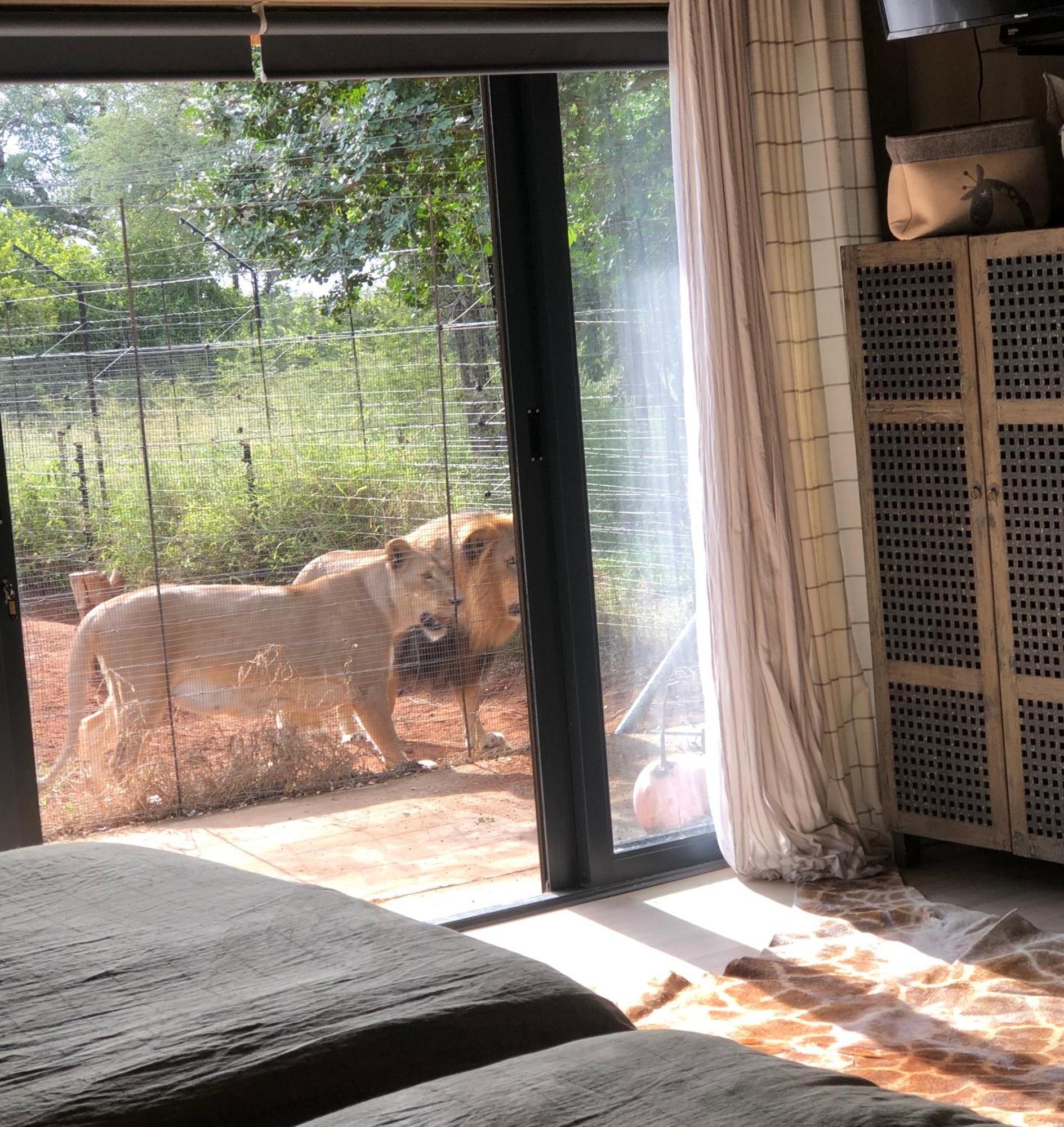 Simba Safaris African Pride Exotic Lodge Lephalale Zewnętrze zdjęcie