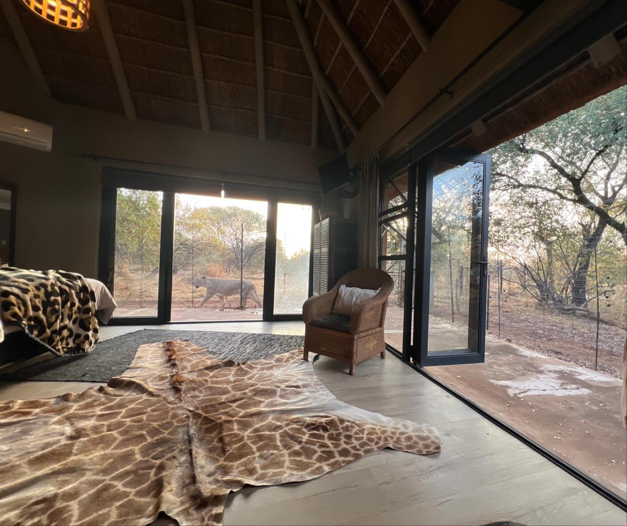 Simba Safaris African Pride Exotic Lodge Lephalale Zewnętrze zdjęcie