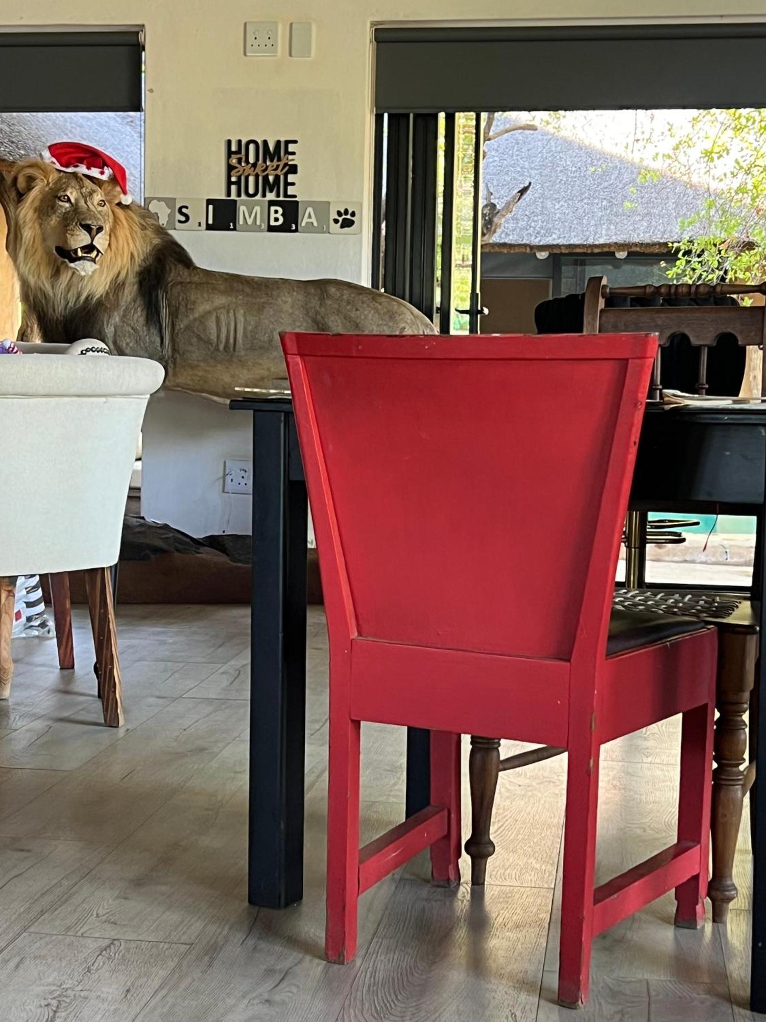 Simba Safaris African Pride Exotic Lodge Lephalale Zewnętrze zdjęcie