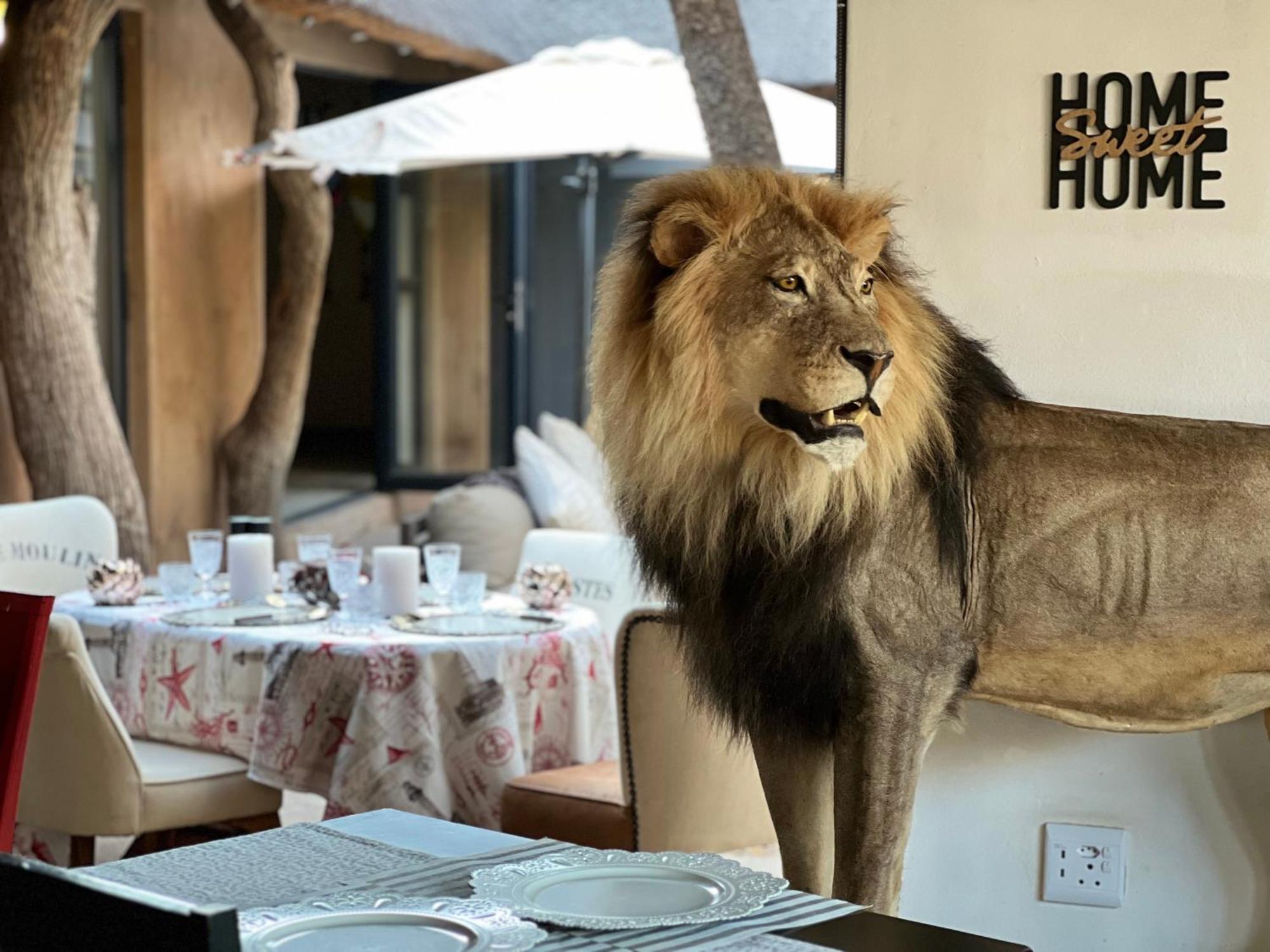 Simba Safaris African Pride Exotic Lodge Lephalale Zewnętrze zdjęcie
