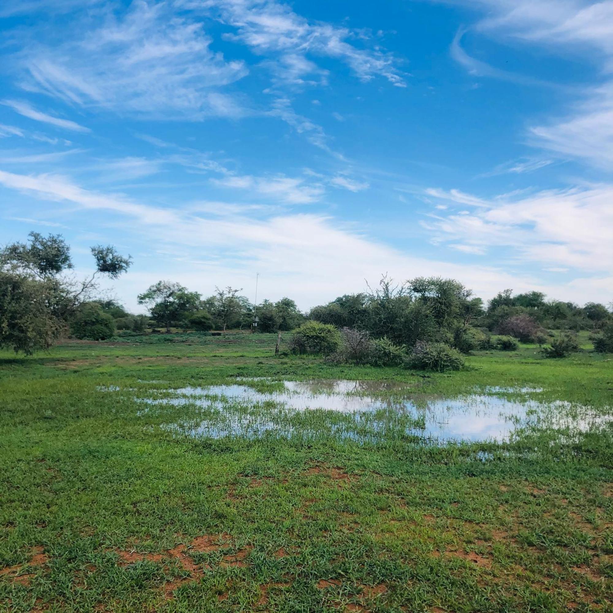 Simba Safaris African Pride Exotic Lodge Lephalale Zewnętrze zdjęcie