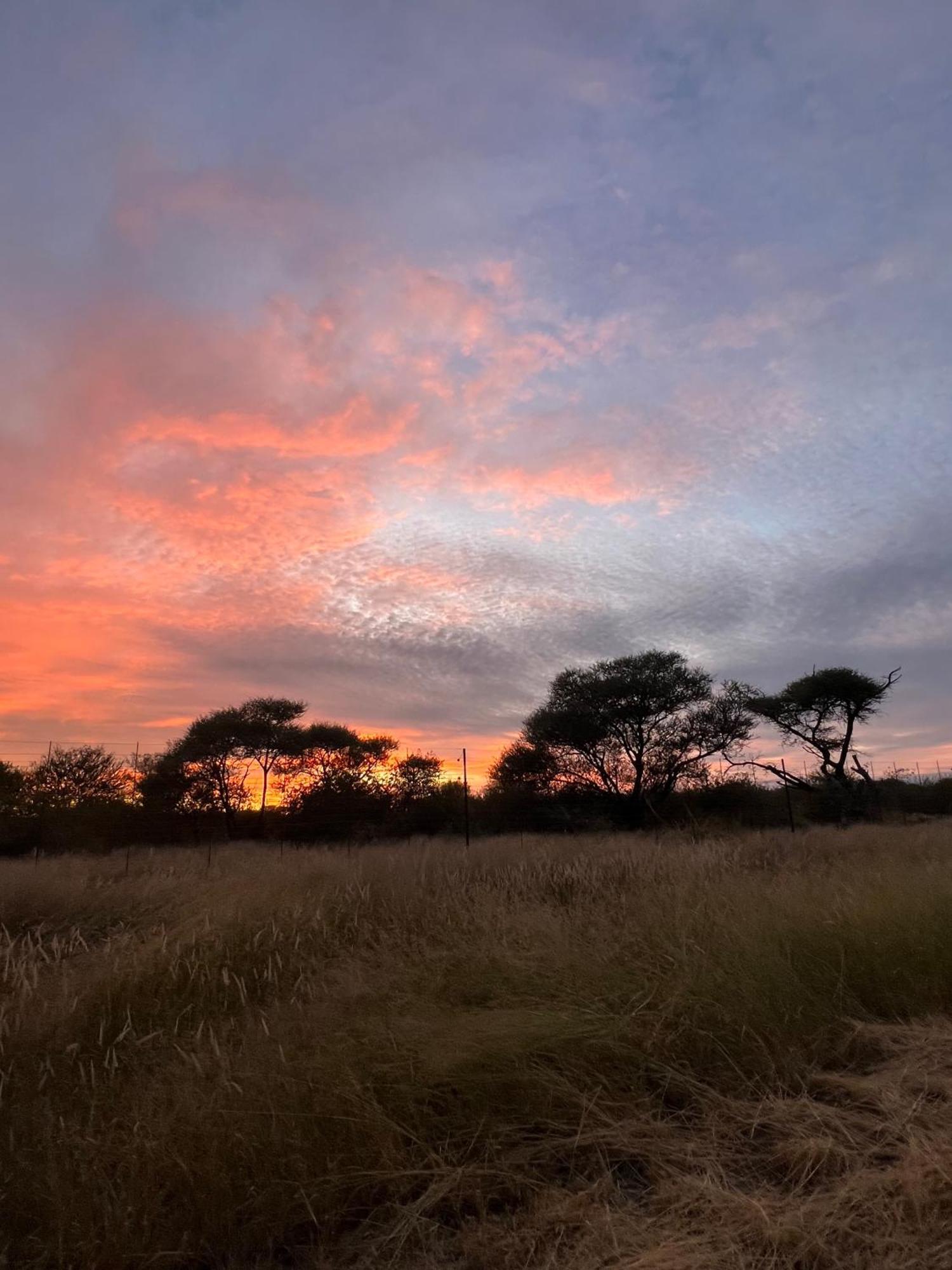 Simba Safaris African Pride Exotic Lodge Lephalale Zewnętrze zdjęcie