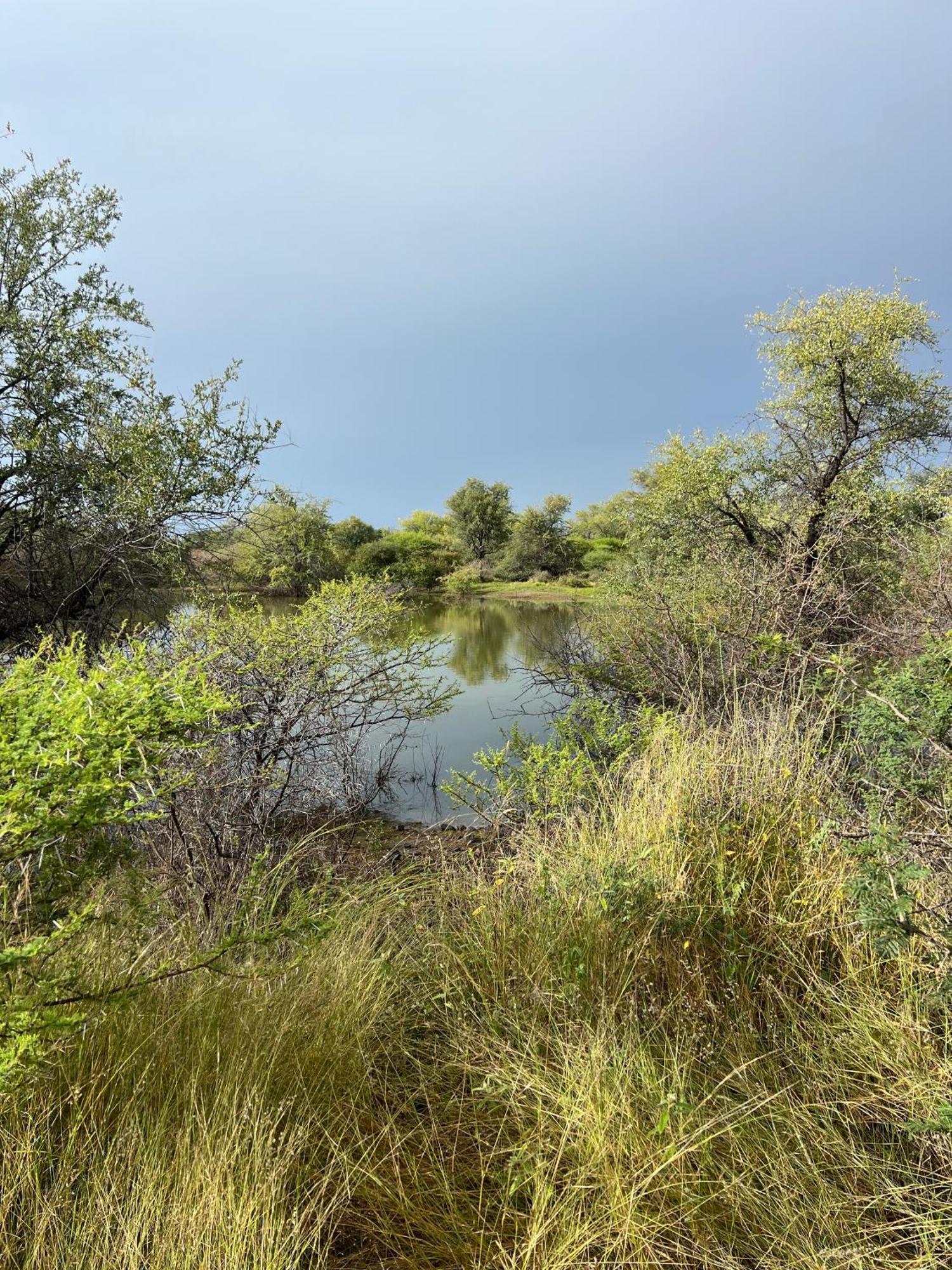 Simba Safaris African Pride Exotic Lodge Lephalale Zewnętrze zdjęcie